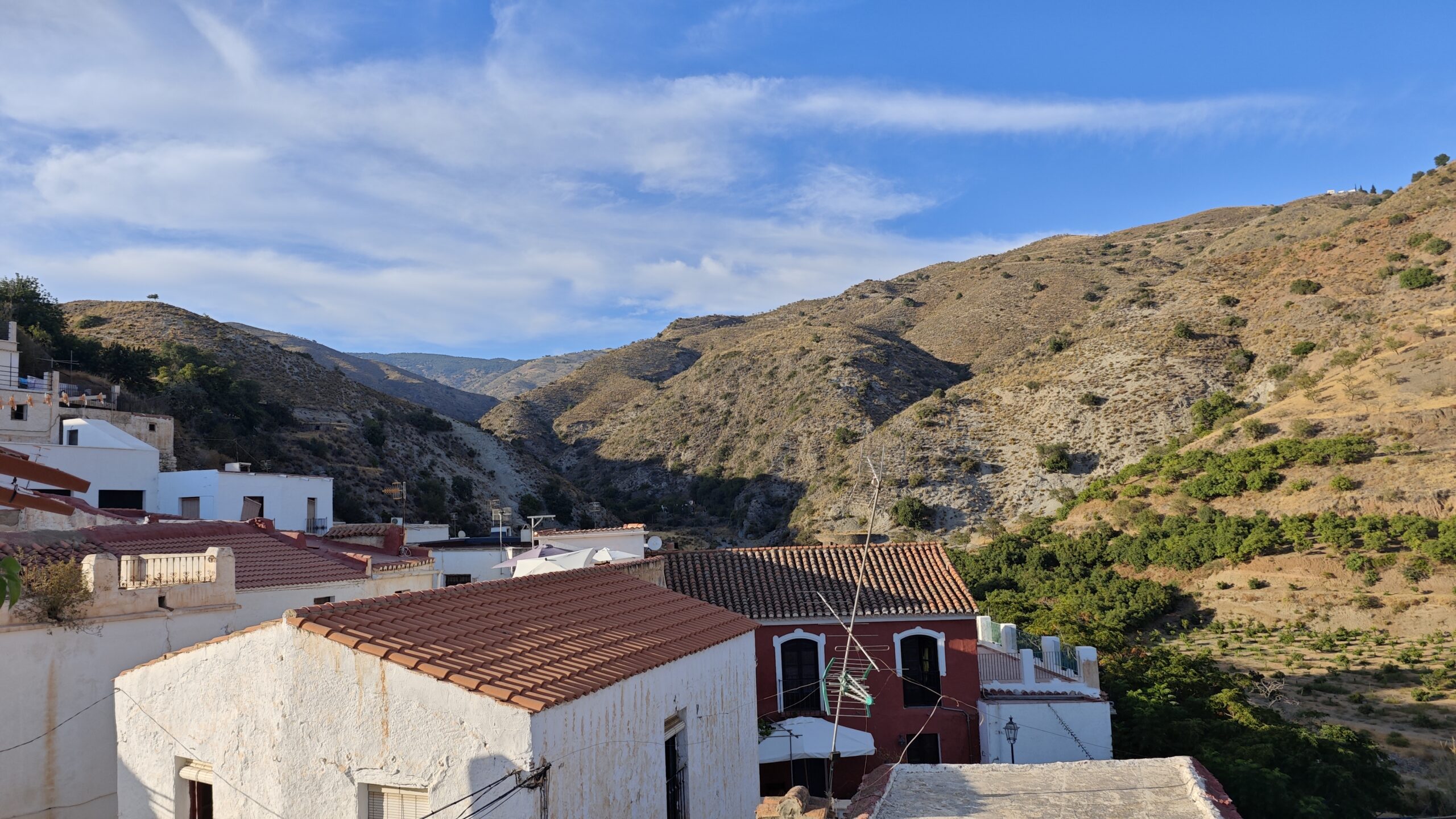 Read more about the article Okupas